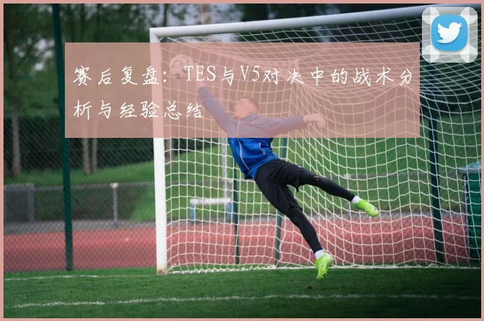 赛后复盘：TES与V5对决中的战术分析与经验总结