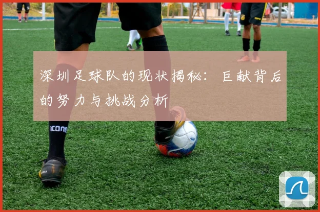 深圳足球队的现状揭秘：巨献背后的努力与挑战分析