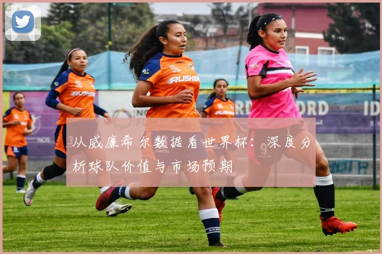 从威廉希尔数据看世界杯：深度分析球队价值与市场预期